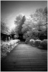 dailyPhoto30